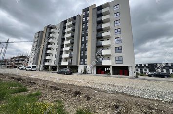 Apartament 2 camere de vanzare DOAMNA STANCA - Sibiu anunturi imobiliare Sibiu
