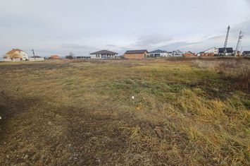 Parcela casă, 812 mp, Rontău. 33 000 E. Comision 0. anunturi imobiliare Bihor