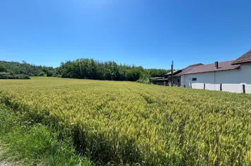 Teren de vanzare CRAIOVA - Dolj anunturi imobiliare Dolj