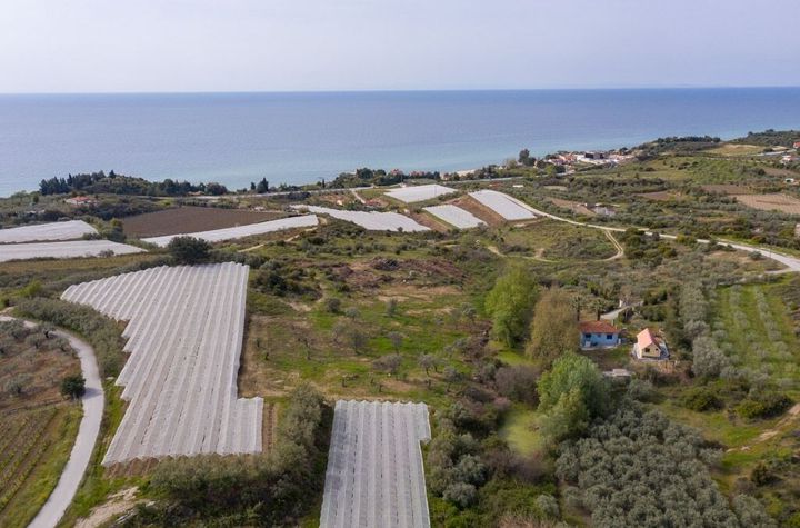 Teren construibil 5.188 mp, Paralia Elaiochoriou anunturi imobiliare Grecia