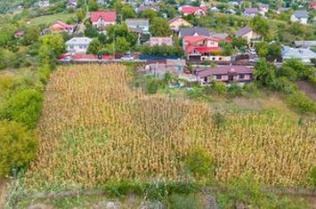 De Vânzare Teren Intravilan de 813 mp | Str. Viorelelor-Valea Lupului anunturi imobiliare Iasi