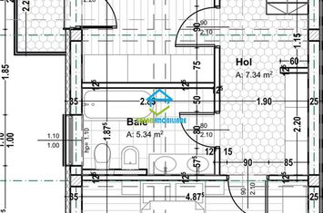 Vilă - 4 camere de vanzare BORHANCI - Cluj anunturi imobiliare Cluj
