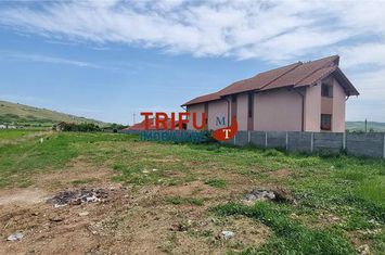 Teren Intravilan de vanzare BARABANT - Alba anunturi imobiliare Alba