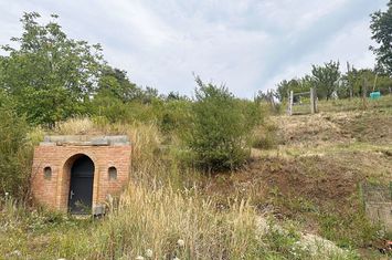 Teren intravilan de vanzare cu o crama zona Dealuri Oradea anunturi imobiliare Bihor