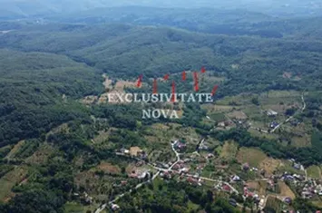 Oază de natură și oportunitate în Băiculești – Valea lui Enache, Argeș anunturi imobiliare Arges