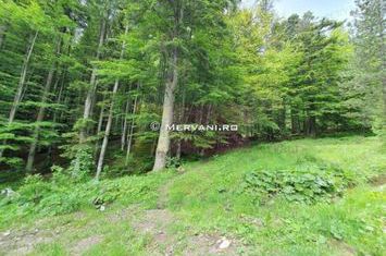 Teren intravilan de vanzare in Sinaia - Zona Furnica anunturi imobiliare Prahova
