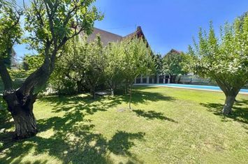 Vila cu piscina, curte generoasa, zona Iancu Nicolae anunturi imobiliare Bucuresti