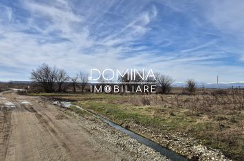 Teren de vanzare DANESTI - Gorj anunturi imobiliare Gorj