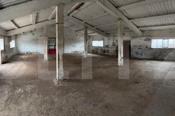 Spațiu industrial de vanzare IRATOSU - Arad anunturi imobiliare Arad