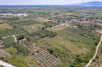 Teren construibil 6.500 mp în Pontolivado, Kavala anunturi imobiliare Grecia