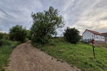 Teren de vanzare HAMBA - Sibiu anunturi imobiliare Sibiu