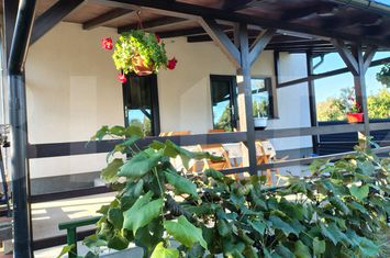 Casă - 5 camere de vanzare MANASTIREA DOAMNEI - Botosani anunturi imobiliare Botosani