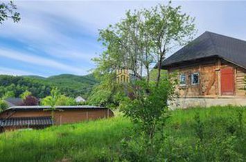 Casă - 4 camere de vanzare CACICA - Suceava anunturi imobiliare Suceava