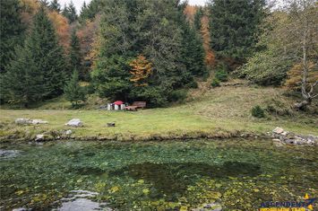 Teren Intravilan de vanzare ZARNESTI - Brasov anunturi imobiliare Brasov