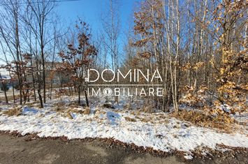 Teren de vanzare SCOARTA - Gorj anunturi imobiliare Gorj