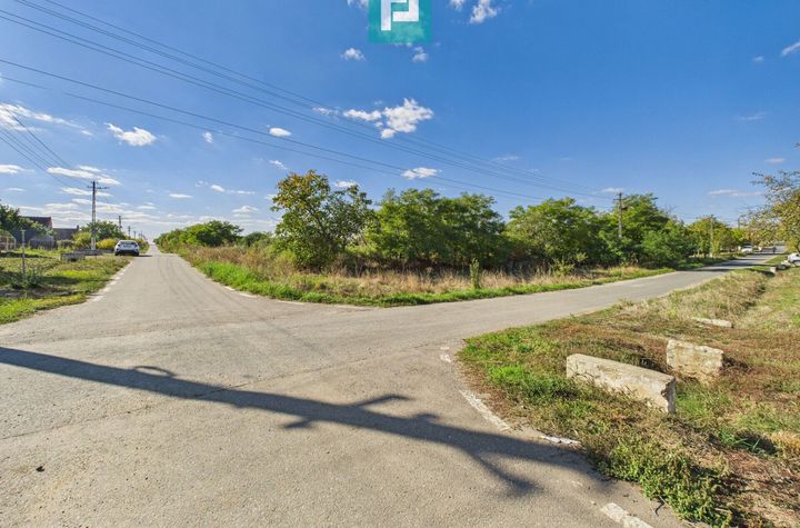 Teren intravilan 6115mp pentru investiții Firiteaz anunturi imobiliare Arad