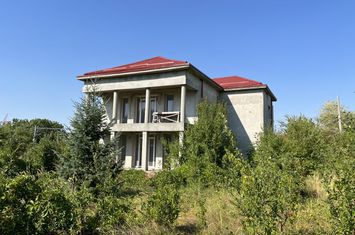 Vilă - 5 camere de vanzare BRANESTI - Bucuresti anunturi imobiliare Bucuresti