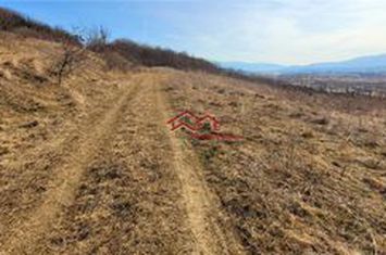 Teren Intravilan de vanzare GUSTERITA - Sibiu anunturi imobiliare Sibiu