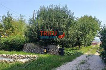 Casă - 4 camere de vanzare CETATE - Alba anunturi imobiliare Alba