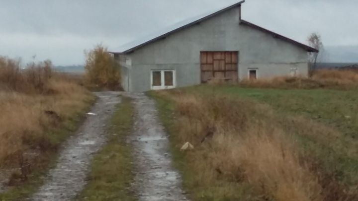 Teren de 7.200 mp amplasat in com. Baltatesti Jud. Neamt anunturi imobiliare Neamt