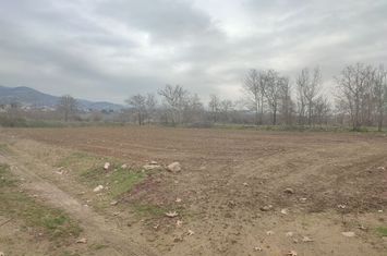 Teren 4750 mp cu construcție în Eptamiloi anunturi imobiliare Grecia