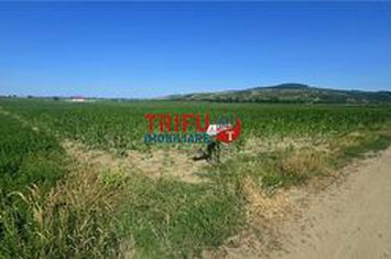 Teren Intravilan de vanzare IGHIU - Alba anunturi imobiliare Alba