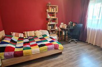 Casa individuala 4 camere 2 bai Cartier Izvor Tarlungeni anunturi imobiliare Brasov