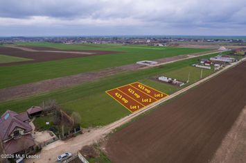 FRUMUSANI - VIOLETELOR, TEREN 423 MP, FRONT 14 M! anunturi imobiliare Calarasi