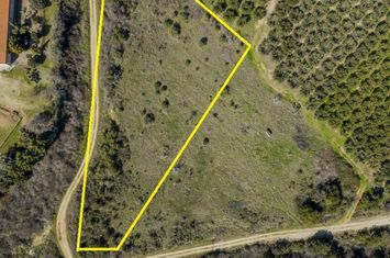 Teren agricol 4.305 mp în Kariani, la 350 m de plajă anunturi imobiliare Grecia