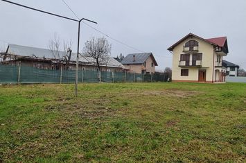 Vilă - 6 camere de vanzare CENTRAL - Bacau anunturi imobiliare Bacau