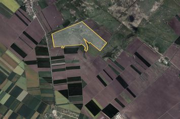 Teren 42 ha pentru parc fotovoltaic – Macea, Arad anunturi imobiliare Arad