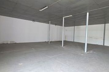 Hală de închiriat Popesti Leordeni – Șoseaua de Centură |273 mp anunturi imobiliare Bucuresti