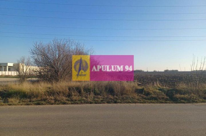 Săbăreni, teren intravilan 8800 mp, pe DJ 602, pretabil hale, depozite anunturi imobiliare Giurgiu