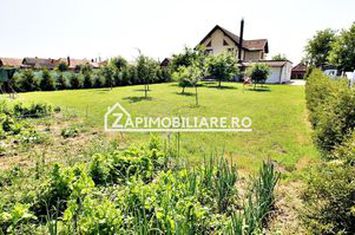 Casa 5 camere, 326mp, 1.253mp teren,  0% comision anunturi imobiliare Mures