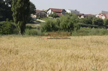 Teren intravilan cu vedere la lac – Balotești / Corbeanca, 17850 mp anunturi imobiliare Bucuresti
