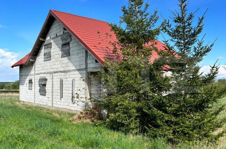 Vilă - 6 camere de vanzare SIRET - Suceava anunturi imobiliare Suceava