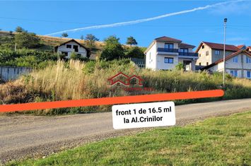 Teren Intravilan de vanzare SURA MARE - Sibiu anunturi imobiliare Sibiu