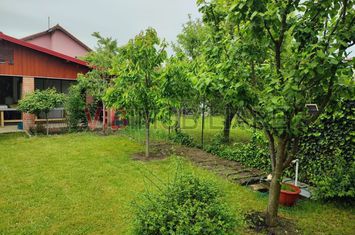 Casă individuală P+E+M | 177 mp utili | Teren 333 mp | Cartier Europa anunturi imobiliare Timis