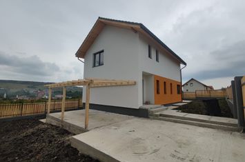 Vilă - 5 camere de vanzare CHINTENI - Cluj anunturi imobiliare Cluj