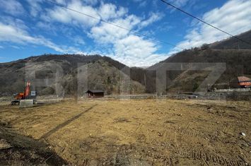 Teren de vanzare VALEA MANASTIRII - Alba anunturi imobiliare Alba