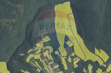 Padure 34 ha Capusu Mare anunturi imobiliare Cluj