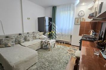 Apartament cu 2 camere, centrala proprie, parter inalt, zona Ronat anunturi imobiliare Timis