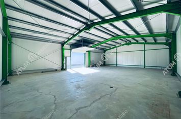 Spațiu industrial de inchiriat SELIMBAR - Sibiu anunturi imobiliare Sibiu
