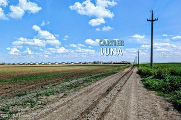 Balotesti, teren 27840 mp, 57 x 491 m, canalizare, asfaltare aprobata anunturi imobiliare Bucuresti