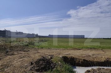 Teren de vanzare NUFARUL - Bihor anunturi imobiliare Bihor
