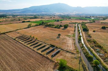 Teren construibil 6.463 mp în Prosotsani, Drama anunturi imobiliare Grecia