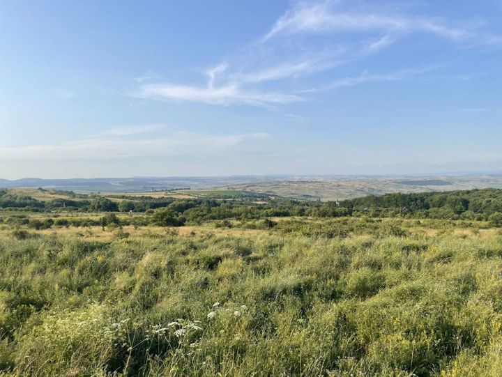 Teren de vanzare PADURENI (CHINTENI) - Cluj anunturi imobiliare Cluj