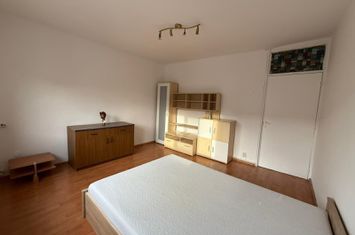 Chirie, apartament, 1 camera, 30 mp, Traian Lalescu Oradea. 250 E/lună anunturi imobiliare Bihor