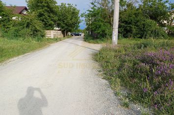 Loturi Teren Intravilan Str Delfinului -Comuna Berceni -gaz si curent anunturi imobiliare Bucuresti