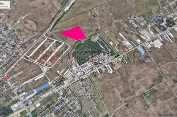 Mogosoaia - Ciupercarie, teren extravilan, suprafata 70.000 mp anunturi imobiliare Bucuresti